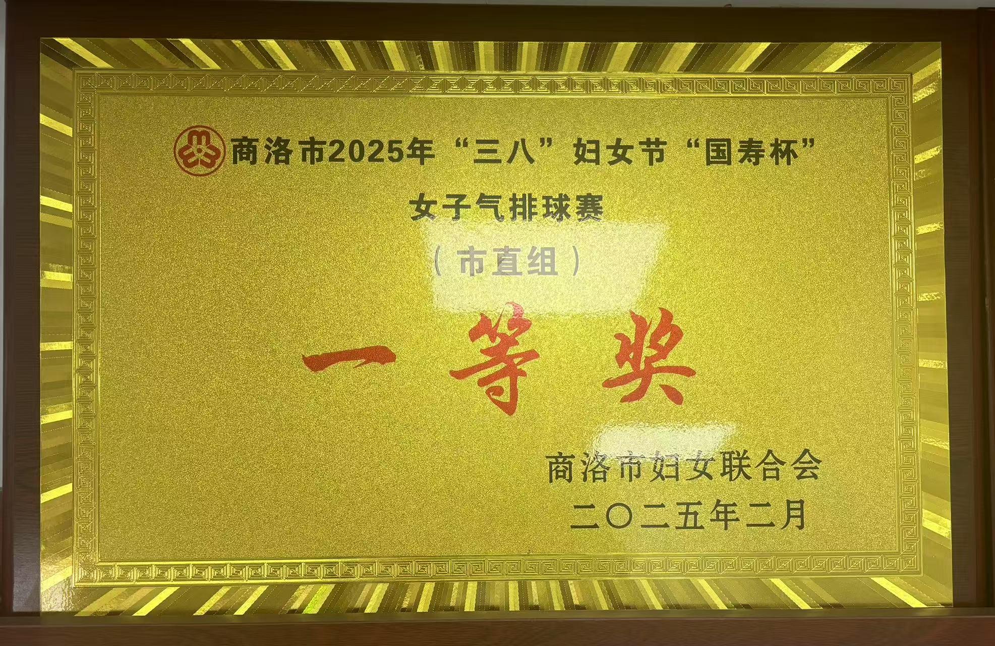 商洛市2025年“三八”妇女节“国寿杯”女子气排球赛一等奖